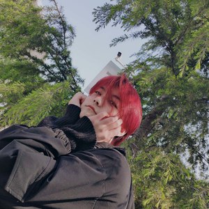 绝世小奥宝资料,绝世小奥宝最新歌曲,绝世小奥宝MV视频,绝世小奥宝音乐专辑,绝世小奥宝好听的歌