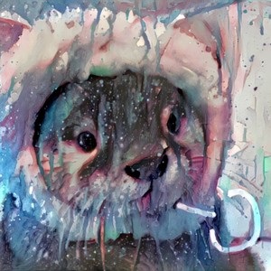 水獭不会弹吉他资料,水獭不会弹吉他最新歌曲,水獭不会弹吉他MV视频,水獭不会弹吉他音乐专辑,水獭不会弹吉他好听的歌