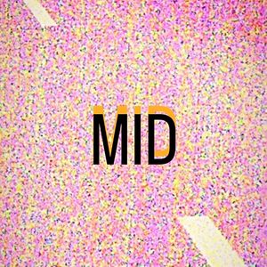 MID资料,MID最新歌曲,MIDMV视频,MID音乐专辑,MID好听的歌