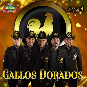 Gallos Dorados资料,Gallos Dorados最新歌曲,Gallos DoradosMV视频,Gallos Dorados音乐专辑,Gallos Dorados好听的歌