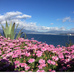 王钰资料,王钰最新歌曲,王钰MV视频,王钰音乐专辑,王钰好听的歌