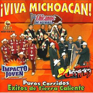 Viva Michoacan