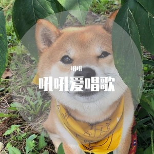 Shall We Talk-吼吼爱唱歌