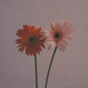 玖伍桑资料,玖伍桑最新歌曲,玖伍桑MV视频,玖伍桑音乐专辑,玖伍桑好听的歌