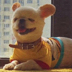 Giiooooo资料,Giiooooo最新歌曲,GiioooooMV视频,Giiooooo音乐专辑,Giiooooo好听的歌