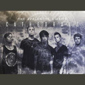 The Avalanche Diaries