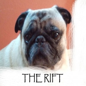 The Rift资料,The Rift最新歌曲,The RiftMV视频,The Rift音乐专辑,The Rift好听的歌