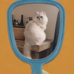 大隋资料,大隋最新歌曲,大隋MV视频,大隋音乐专辑,大隋好听的歌