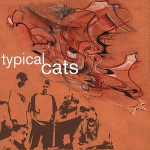 Typical Cats资料,Typical Cats最新歌曲,Typical CatsMV视频,Typical Cats音乐专辑,Typical Cats好听的歌