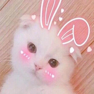 艾晨资料,艾晨最新歌曲,艾晨MV视频,艾晨音乐专辑,艾晨好听的歌