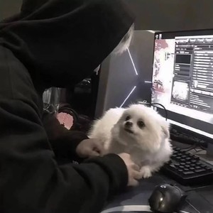 W越资料,W越最新歌曲,W越MV视频,W越音乐专辑,W越好听的歌