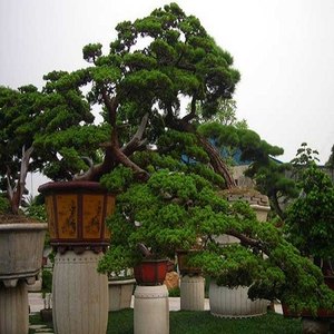 歌迷_668资料,歌迷_668最新歌曲,歌迷_668MV视频,歌迷_668音乐专辑,歌迷_668好听的歌