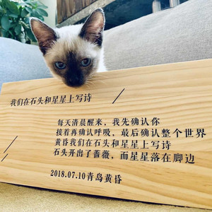 陈贵平资料,陈贵平最新歌曲,陈贵平MV视频,陈贵平音乐专辑,陈贵平好听的歌