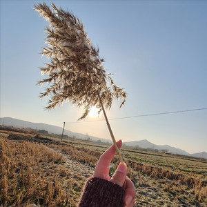 会一点资料,会一点最新歌曲,会一点MV视频,会一点音乐专辑,会一点好听的歌