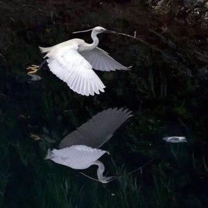 萱子资料,萱子最新歌曲,萱子MV视频,萱子音乐专辑,萱子好听的歌