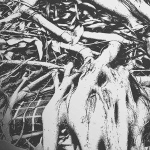 右岸资料,右岸最新歌曲,右岸MV视频,右岸音乐专辑,右岸好听的歌