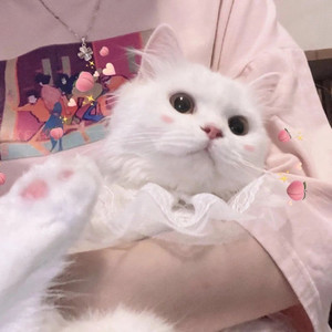 媖 媛资料,媖 媛最新歌曲,媖 媛MV视频,媖 媛音乐专辑,媖 媛好听的歌