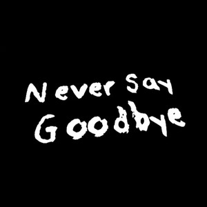 NeverSayGoodbye