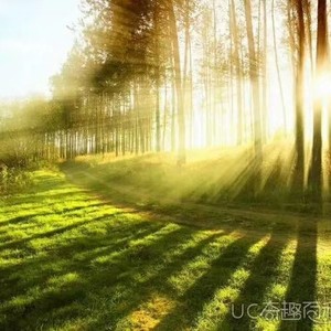 巫晓文资料,巫晓文最新歌曲,巫晓文MV视频,巫晓文音乐专辑,巫晓文好听的歌