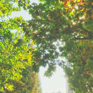 Aletter资料,Aletter最新歌曲,AletterMV视频,Aletter音乐专辑,Aletter好听的歌