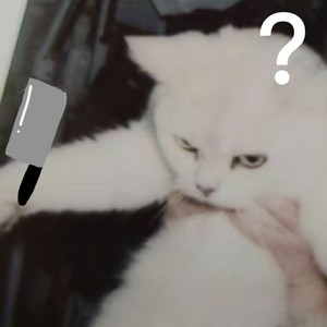 黄云翔资料,黄云翔最新歌曲,黄云翔MV视频,黄云翔音乐专辑,黄云翔好听的歌