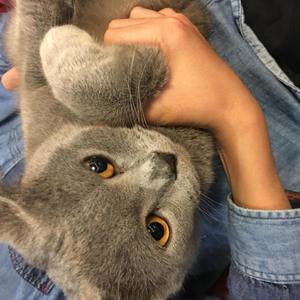 Leko资料,Leko最新歌曲,LekoMV视频,Leko音乐专辑,Leko好听的歌