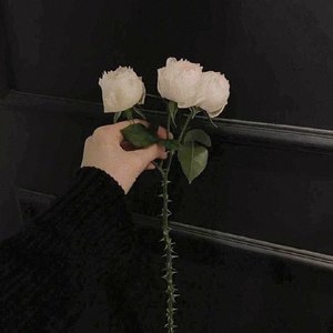 无妨 【肖战 | 2020生贺曲】