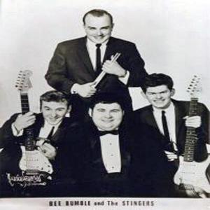 B. Bumble & The Stingers资料,B. Bumble & The Stingers最新歌曲,B. Bumble & The StingersMV视频,B. Bumble & The Stingers音乐专辑,B. Bumble & The Stingers好听的歌