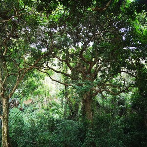 艺悠悠资料,艺悠悠最新歌曲,艺悠悠MV视频,艺悠悠音乐专辑,艺悠悠好听的歌