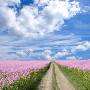 雅歌的歌资料,雅歌的歌最新歌曲,雅歌的歌MV视频,雅歌的歌音乐专辑,雅歌的歌好听的歌