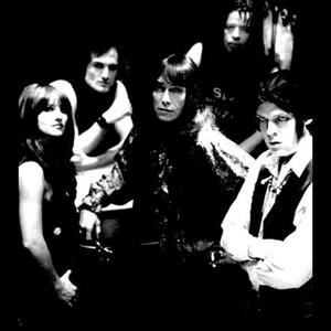 The Fuzztones