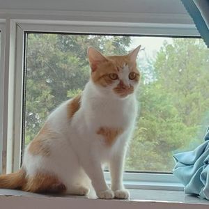 茗子资料,茗子最新歌曲,茗子MV视频,茗子音乐专辑,茗子好听的歌