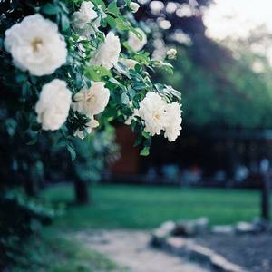 第093集 快看看乐乐！