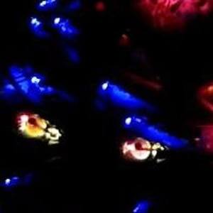 Vizcor资料,Vizcor最新歌曲,VizcorMV视频,Vizcor音乐专辑,Vizcor好听的歌