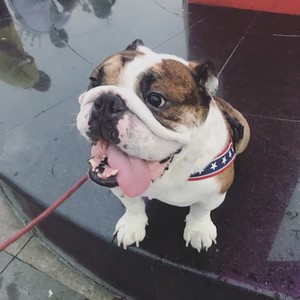 邹朕心资料,邹朕心最新歌曲,邹朕心MV视频,邹朕心音乐专辑,邹朕心好听的歌