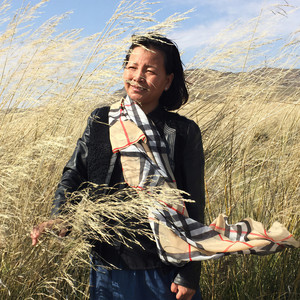 月亮资料,月亮最新歌曲,月亮MV视频,月亮音乐专辑,月亮好听的歌