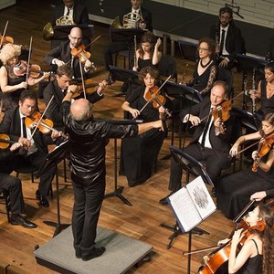 Israel NK orchestra资料,Israel NK orchestra最新歌曲,Israel NK orchestraMV视频,Israel NK orchestra音乐专辑,Israel NK orchestra好听的歌