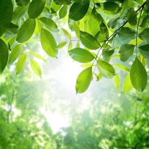 Soothing Relaxation资料,Soothing Relaxation最新歌曲,Soothing RelaxationMV视频,Soothing Relaxation音乐专辑,Soothing Relaxation好听的歌