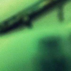 Kodak资料,Kodak最新歌曲,KodakMV视频,Kodak音乐专辑,Kodak好听的歌