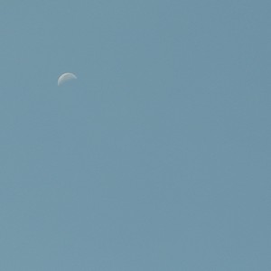 叶姝资料,叶姝最新歌曲,叶姝MV视频,叶姝音乐专辑,叶姝好听的歌