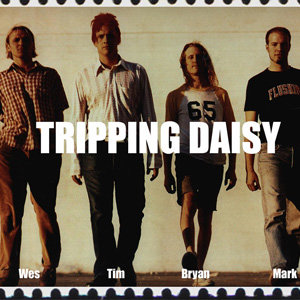 Tripping Daisy