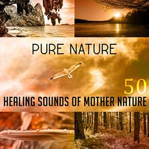 Life Sounds Nature