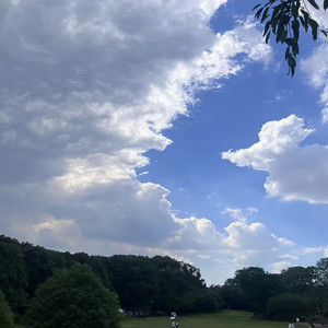 陈雪疑资料,陈雪疑最新歌曲,陈雪疑MV视频,陈雪疑音乐专辑,陈雪疑好听的歌