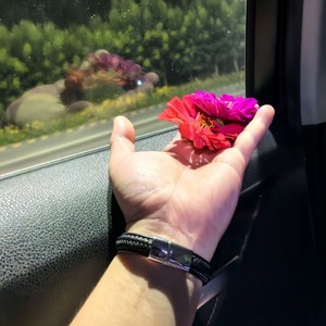 金博文资料,金博文最新歌曲,金博文MV视频,金博文音乐专辑,金博文好听的歌