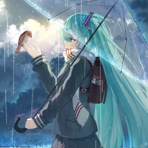 小鑫资料,小鑫最新歌曲,小鑫MV视频,小鑫音乐专辑,小鑫好听的歌