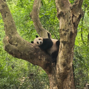 快歌rap资料,快歌rap最新歌曲,快歌rapMV视频,快歌rap音乐专辑,快歌rap好听的歌