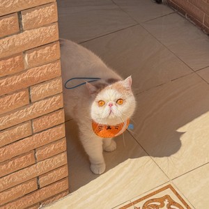 Rainie资料,Rainie最新歌曲,RainieMV视频,Rainie音乐专辑,Rainie好听的歌