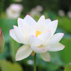 白日梦患者资料,白日梦患者最新歌曲,白日梦患者MV视频,白日梦患者音乐专辑,白日梦患者好听的歌