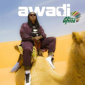 Didier Awadi资料,Didier Awadi最新歌曲,Didier AwadiMV视频,Didier Awadi音乐专辑,Didier Awadi好听的歌