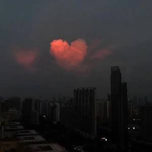 惑卜资料,惑卜最新歌曲,惑卜MV视频,惑卜音乐专辑,惑卜好听的歌